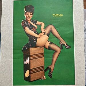 Vintage 1973 Playboy Pinup Print